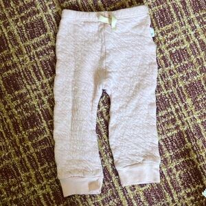 Burt’s bees baby joggers